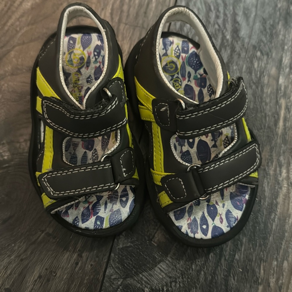 Cat and Jack size 5 sandals